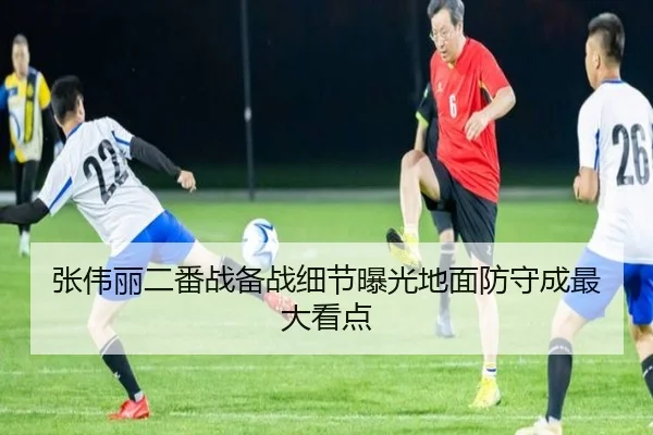 张伟丽二番战备战细节曝光地面防守成最大看点